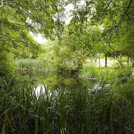 Un Petit Coin De Campagne Dans Le Pays De Saint-Gilles Villa Exterior photo