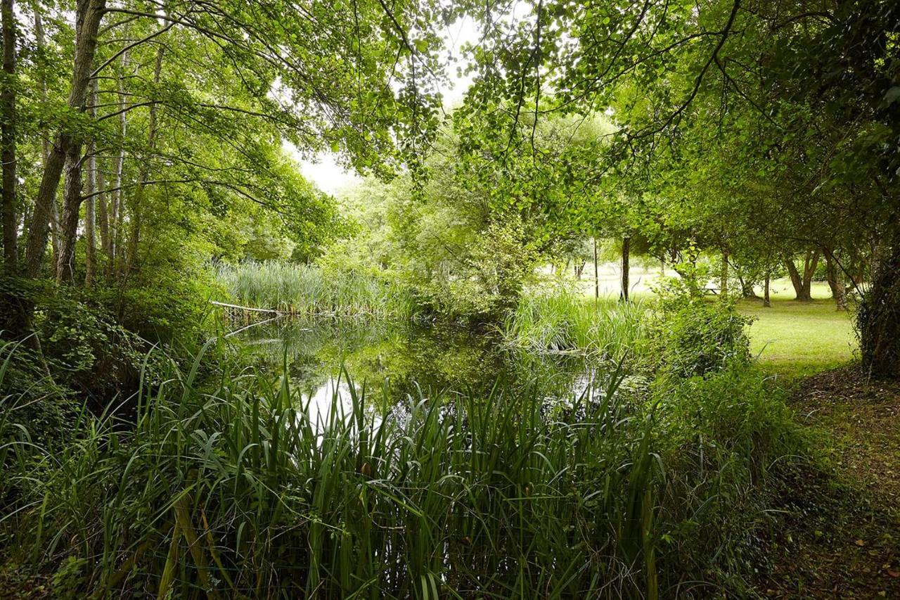 Un Petit Coin De Campagne Dans Le Pays De Saint-Gilles Villa Exterior photo